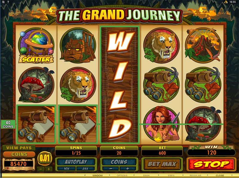 Wild symbol op een online gokkast
